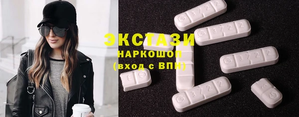 стаф Каменка