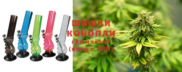 стаф Каменка