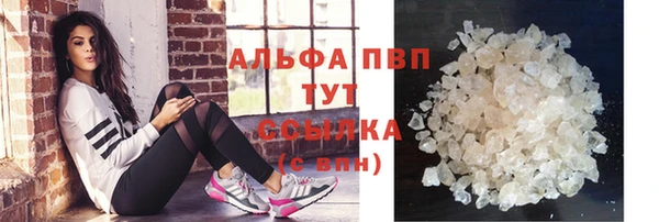 стаф Каменка
