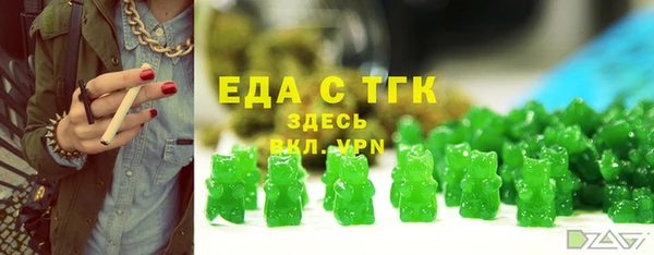 стаф Каменка