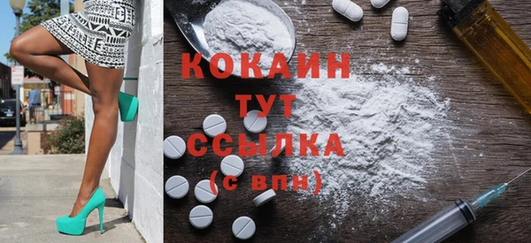 стаф Каменка