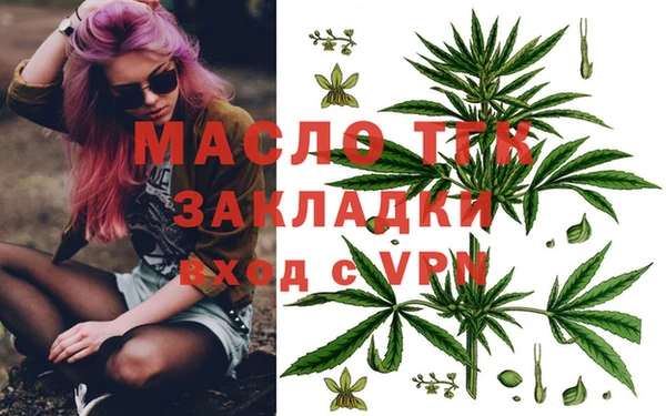 стаф Каменка