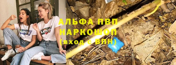 стаф Каменка