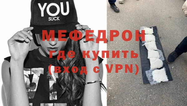 стаф Каменка