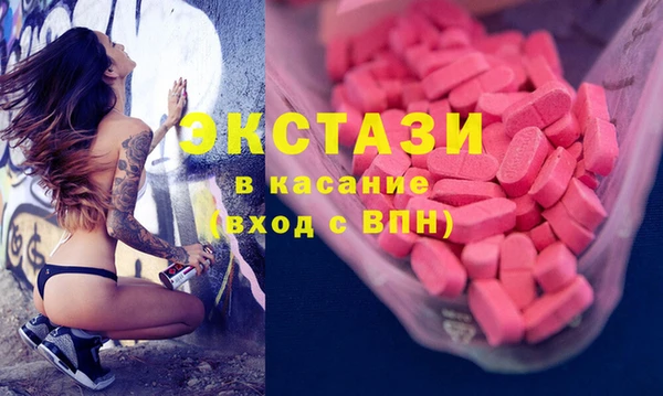 стаф Каменка