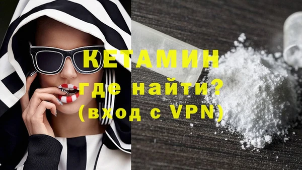 стаф Каменка