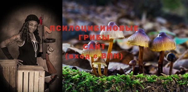 jwh Каменногорск