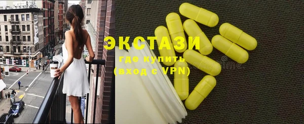 стаф Каменка