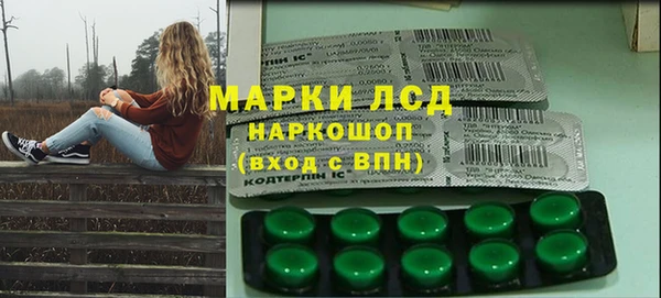 стаф Каменка