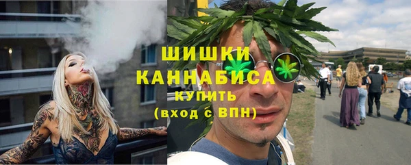 стаф Каменка
