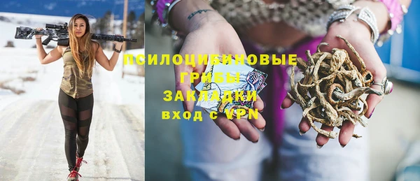 стаф Каменка
