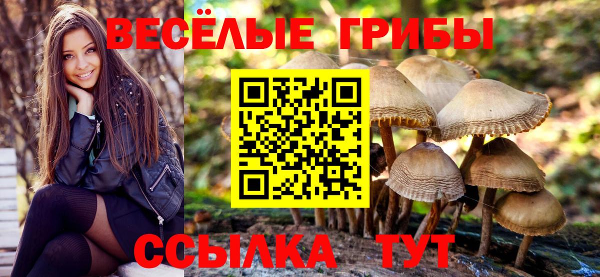Галлюциногенные грибы Cubensis  Вход с VPN  Октябрьский 