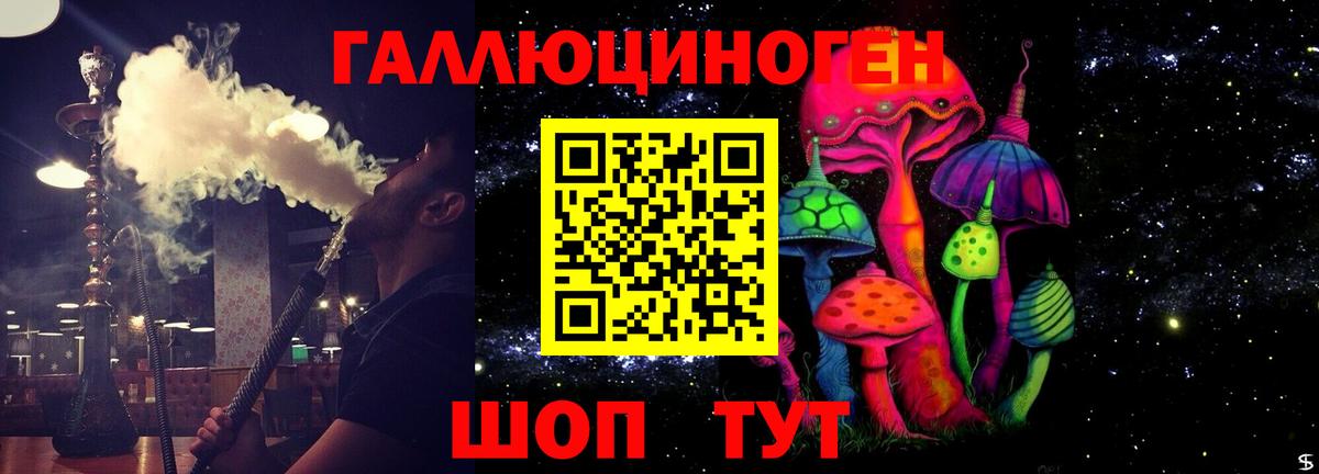 Псилоцибиновые грибы Cubensis Октябрьский