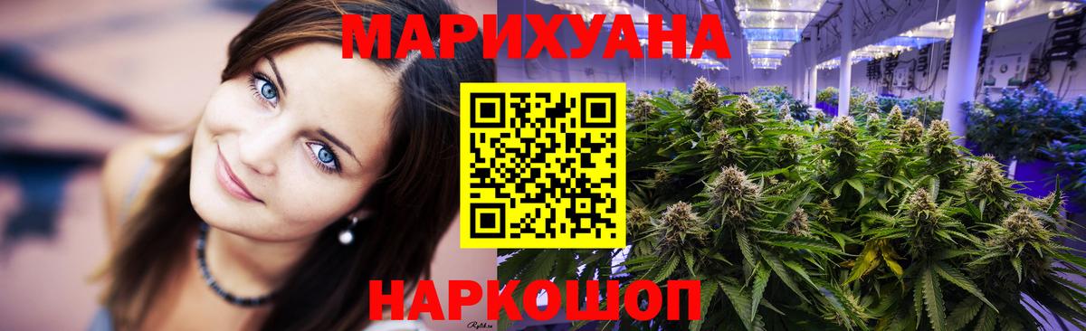 Каннабис сатива Октябрьский